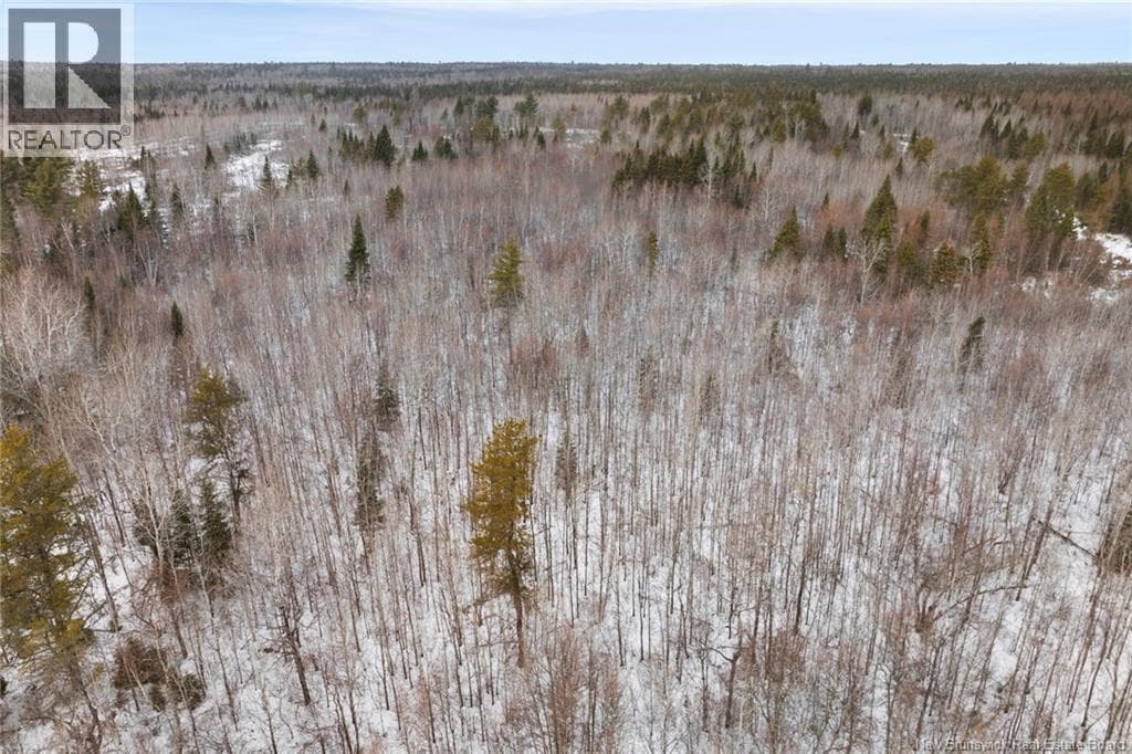 Lots 25-1 & 25-3 Cumberland Bay North Road in 