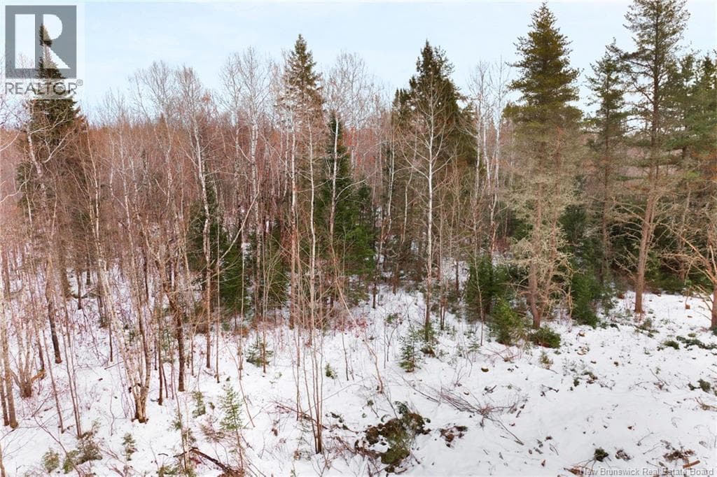 Lots 25-1 & 25-3 Cumberland Bay North Road, New Brunswick — photo 2