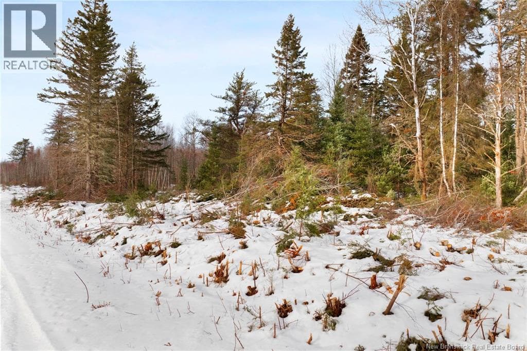 Lots 25-1 & 25-3 Cumberland Bay North Road, New Brunswick — photo 3