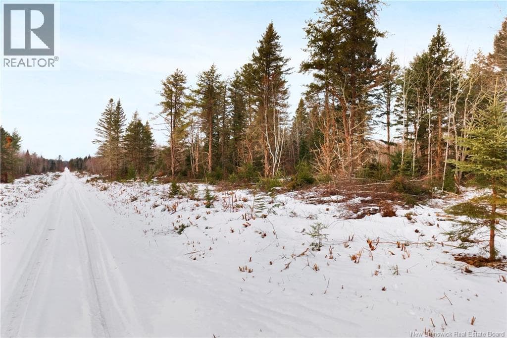 Lots 25-1 & 25-3 Cumberland Bay North Road, New Brunswick — photo 5