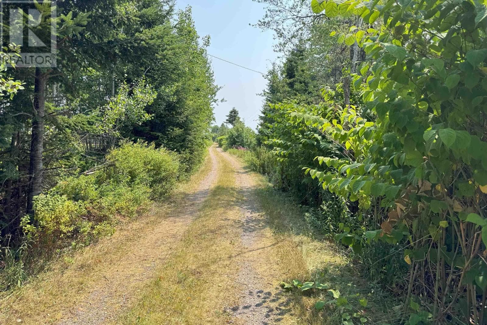 10217 HIGHWAY 209 — photo 2