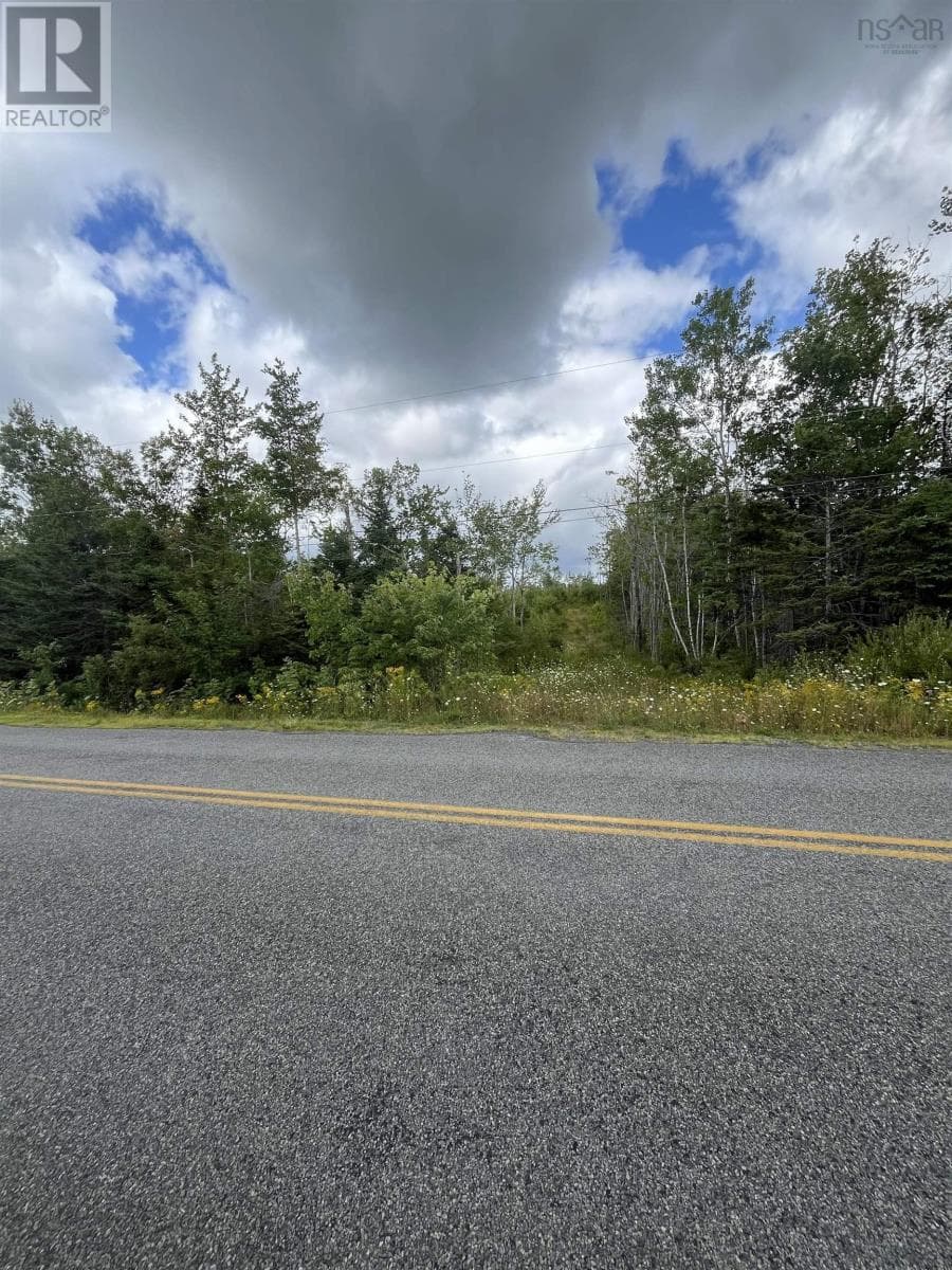 313 MARK ROAD — photo 4