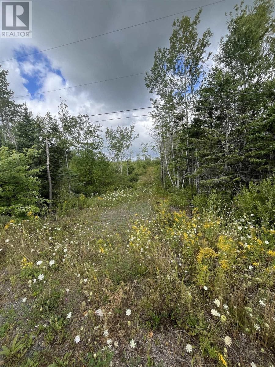 313 MARK ROAD — photo 3
