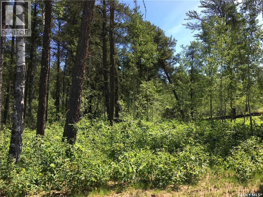 Prime Acreage Parcel 3.13 Acres — photo 5