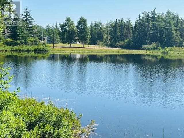 29 Lilly Brook Road — photo 2
