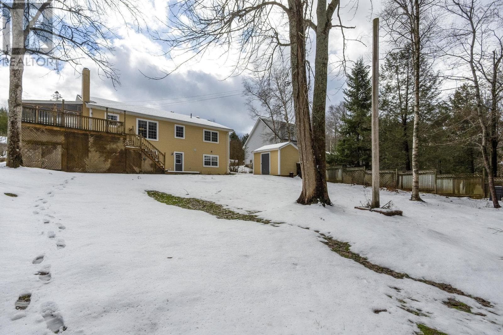 41 MACDONALD PARK ROAD — photo 5
