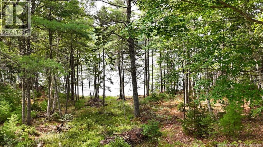 135 Pine Point Road, New Brunswick — photo 5