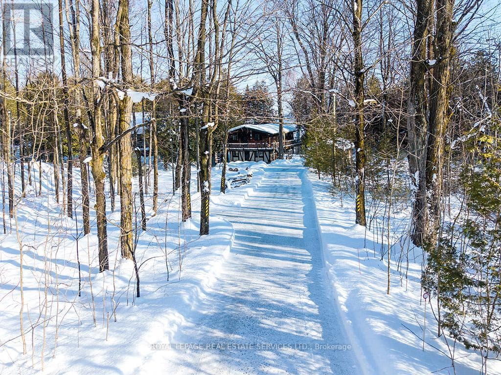 157 BOWLES BLUFF ROAD — photo 2