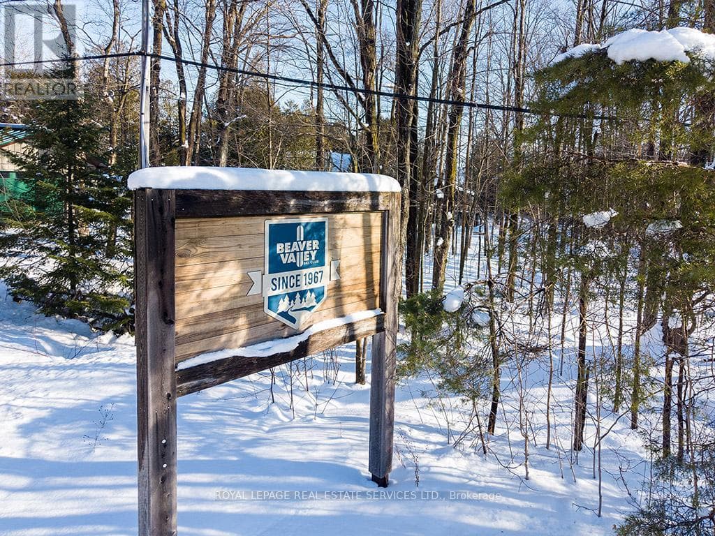 157 BOWLES BLUFF ROAD — photo 3