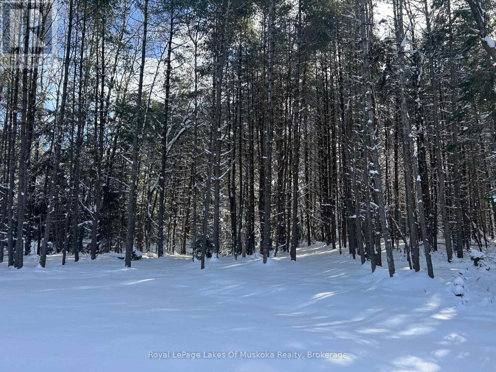 286 CLEARWATER LAKE ROAD — photo 4
