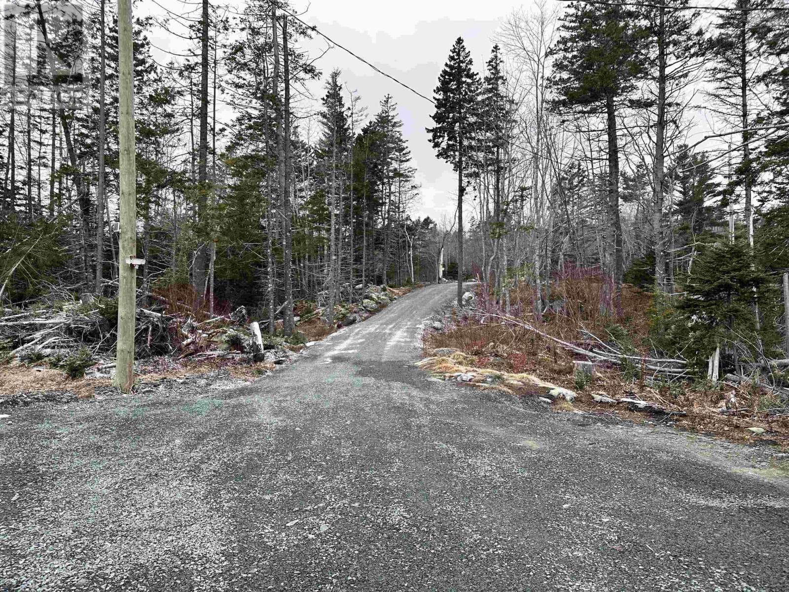 590 EASTERN SHORE ROAD — photo 3