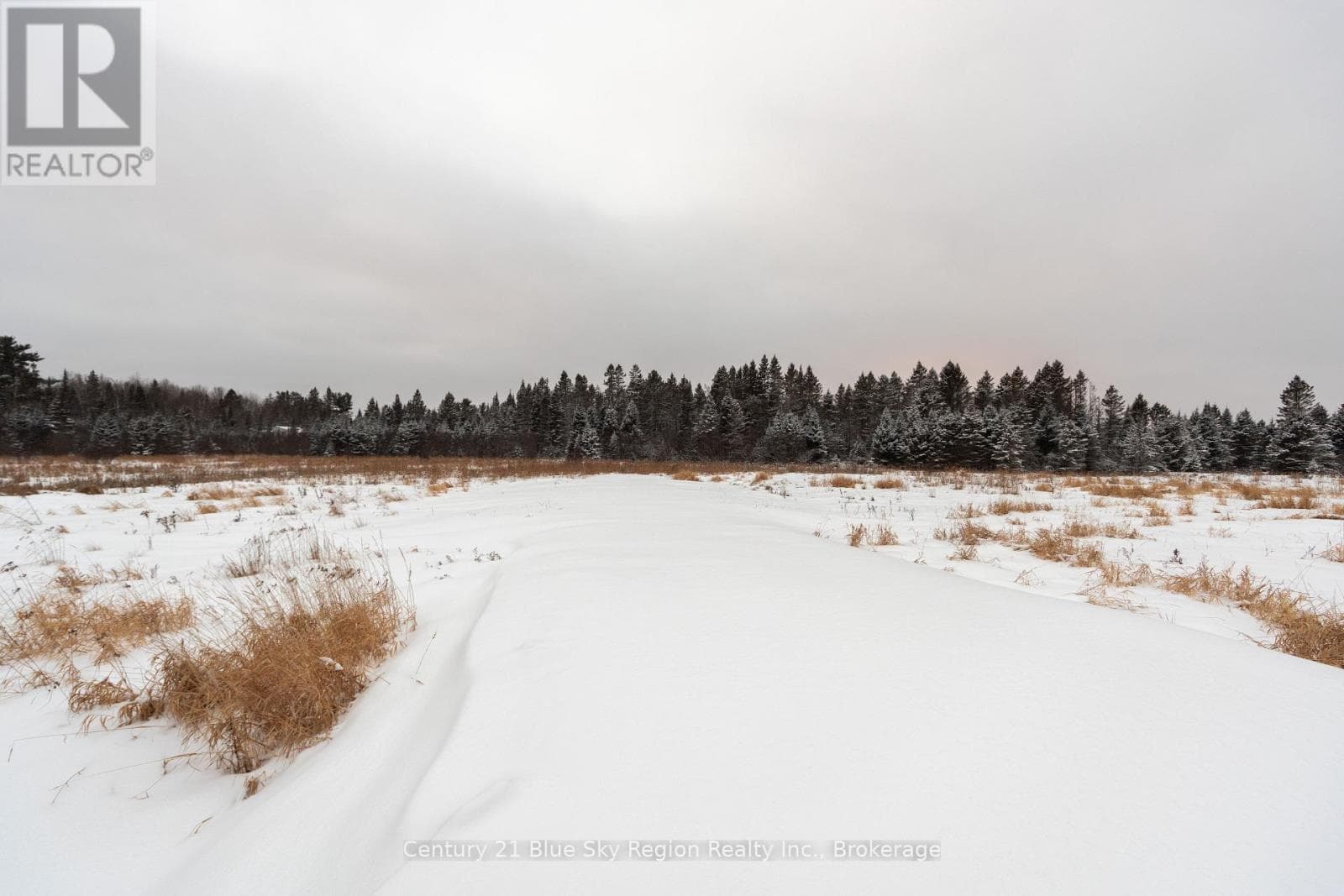 1185 CORBEIL ROAD — photo 4