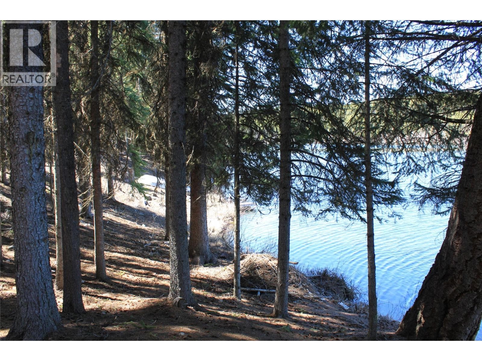 272 LINK LAKE ROAD, Interior REALTORS® — photo 3