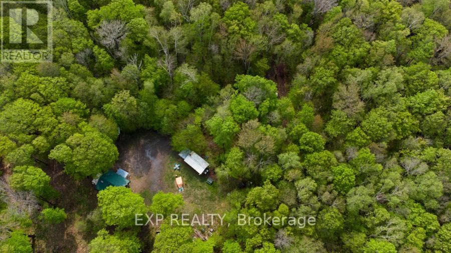 1040 BILL MCLAREN TRAIL — photo 5