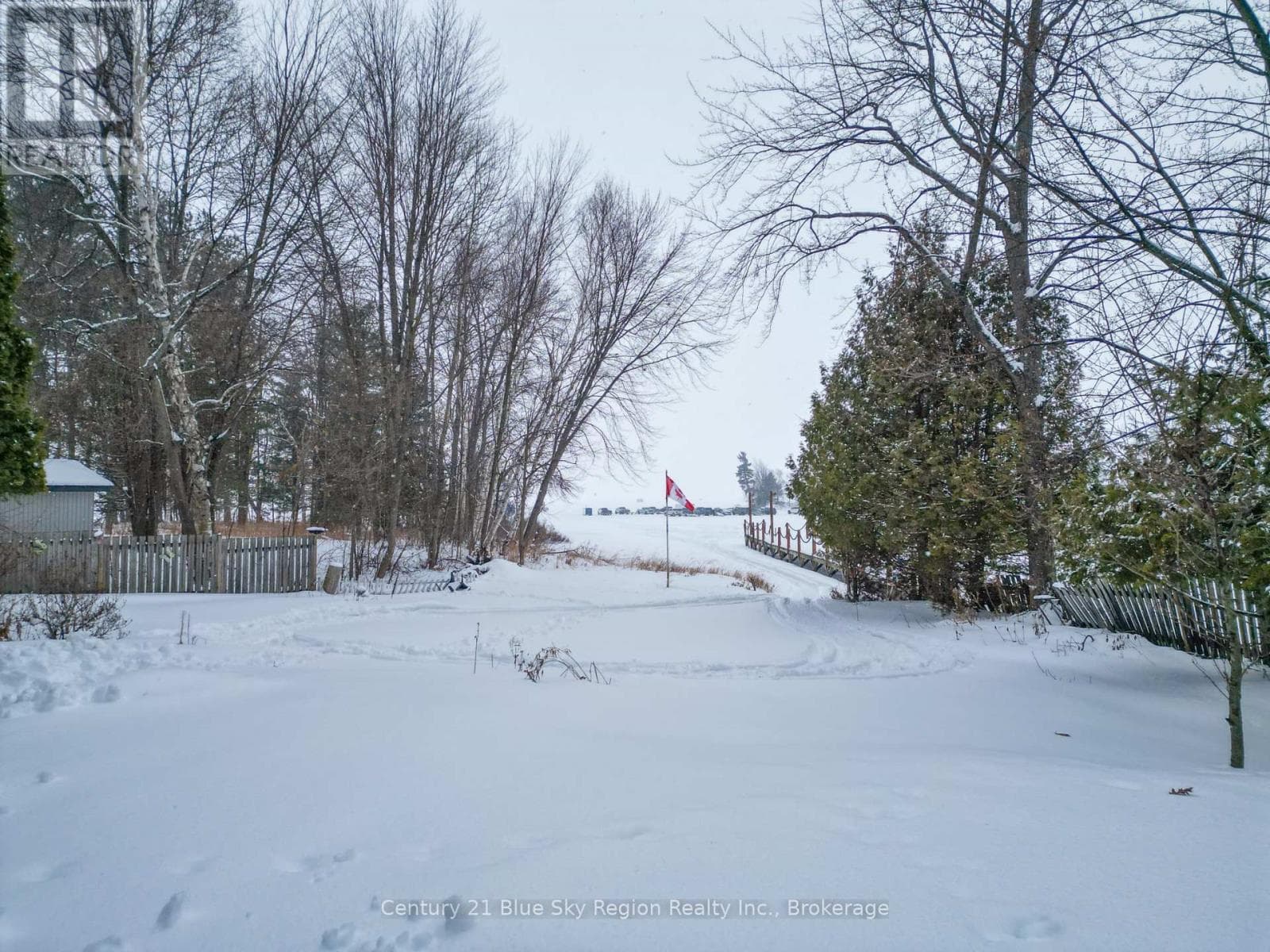 12 MOWAT CRESCENT — photo 4