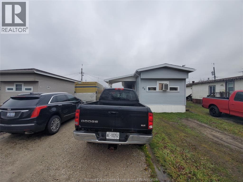 50 REGINA — photo 3