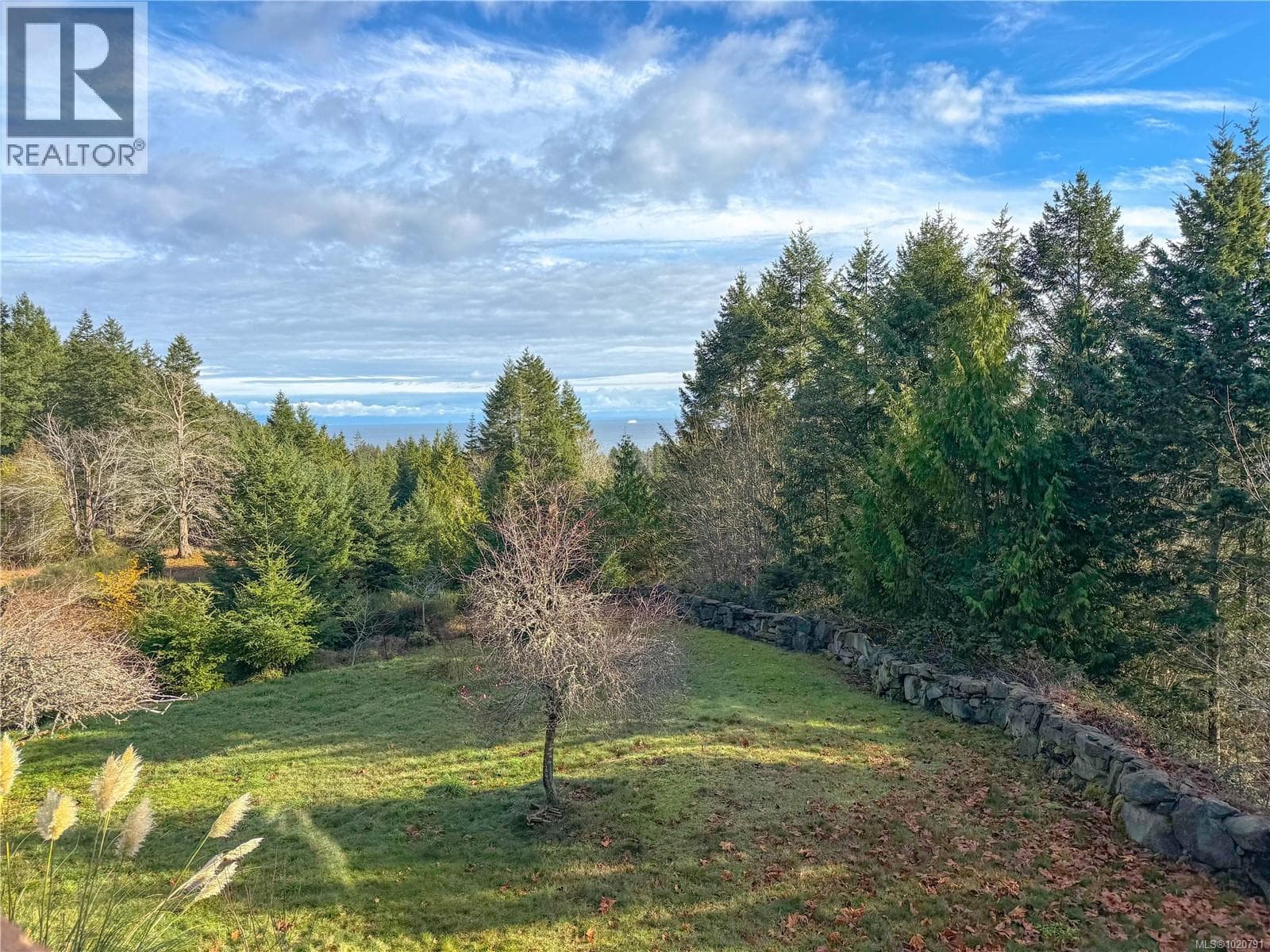 835 Chelwood Rd — photo 3