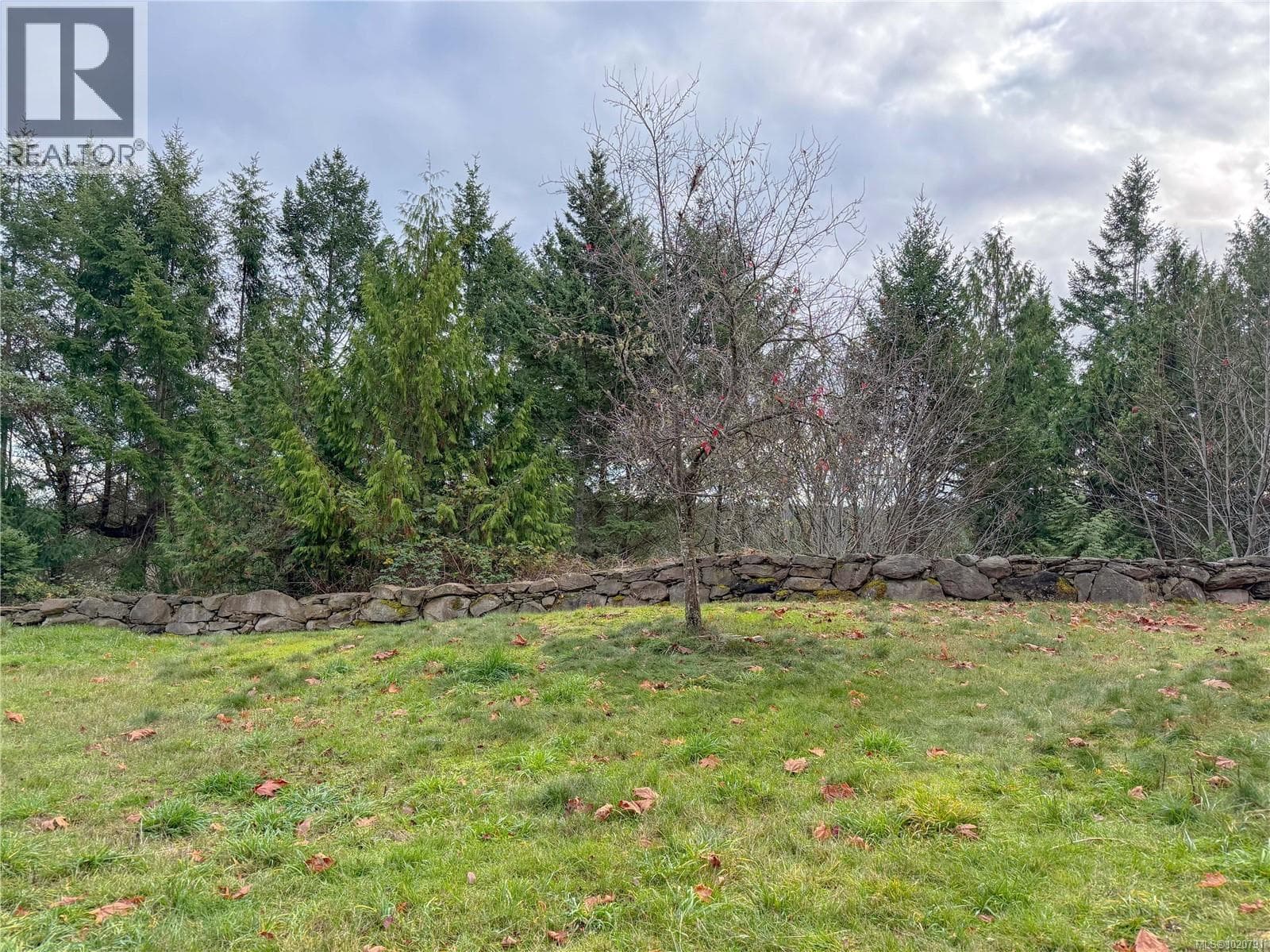 835 Chelwood Rd — photo 4