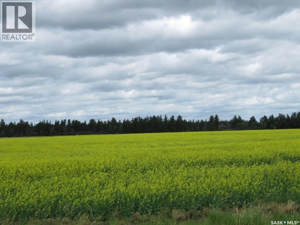 Lot 13 Parcel 3.53 Acres in 