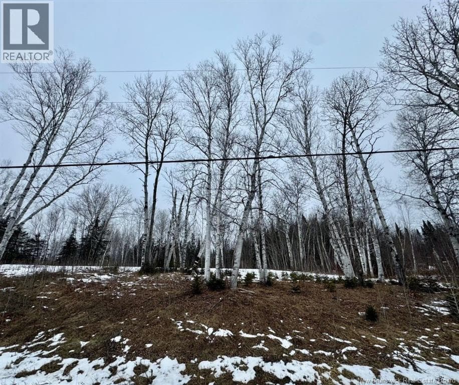307 DOYLEVILLE ROAD — photo 2
