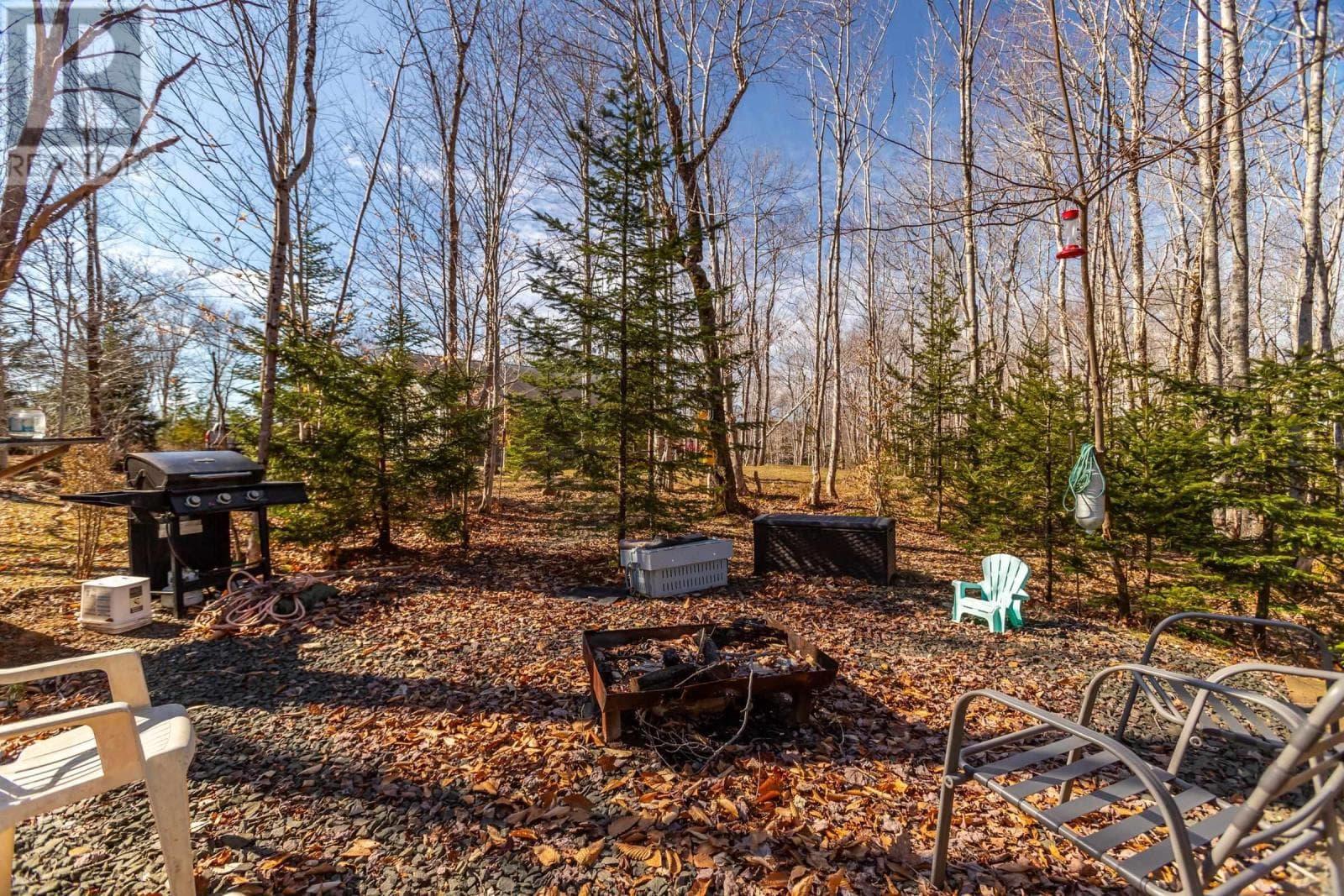 580 RUMSEY LAKE ROAD — photo 5