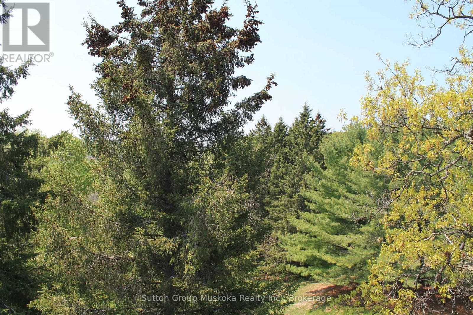 52-305 - 1235 DEERHURST DRIVE — photo 4