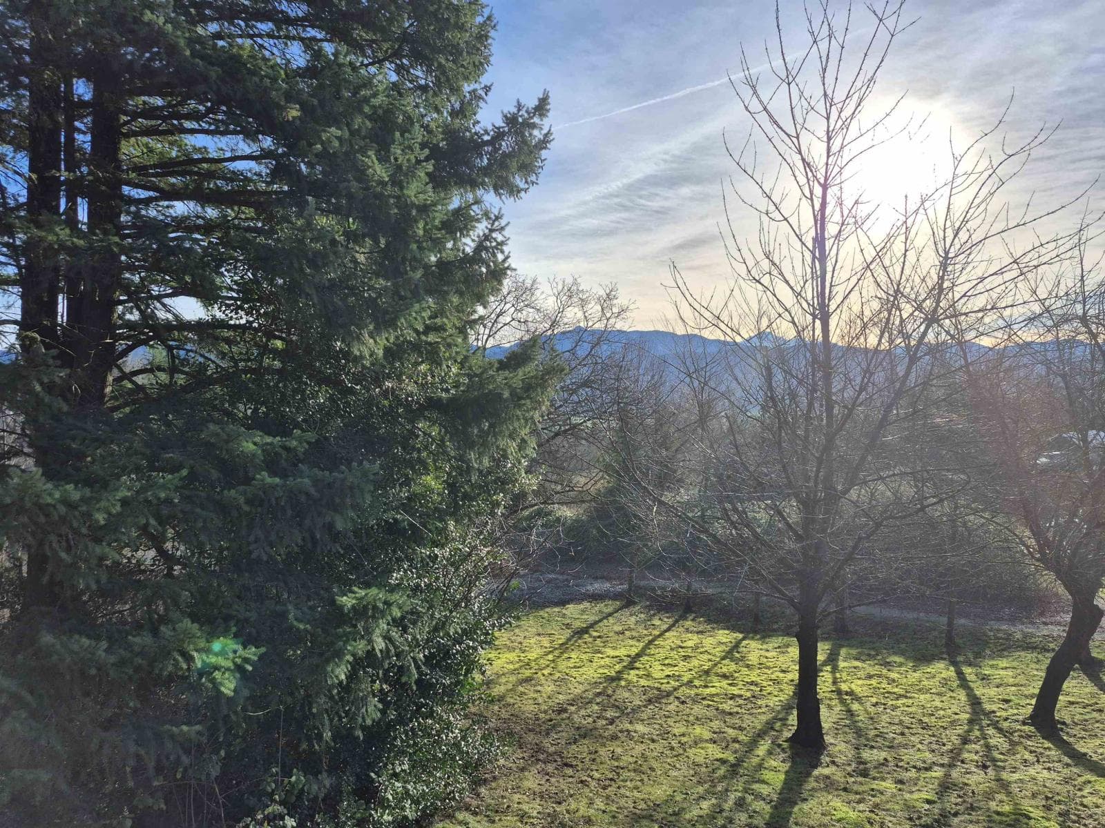 37318 WARD ROAD, Fraser Valley — photo 5