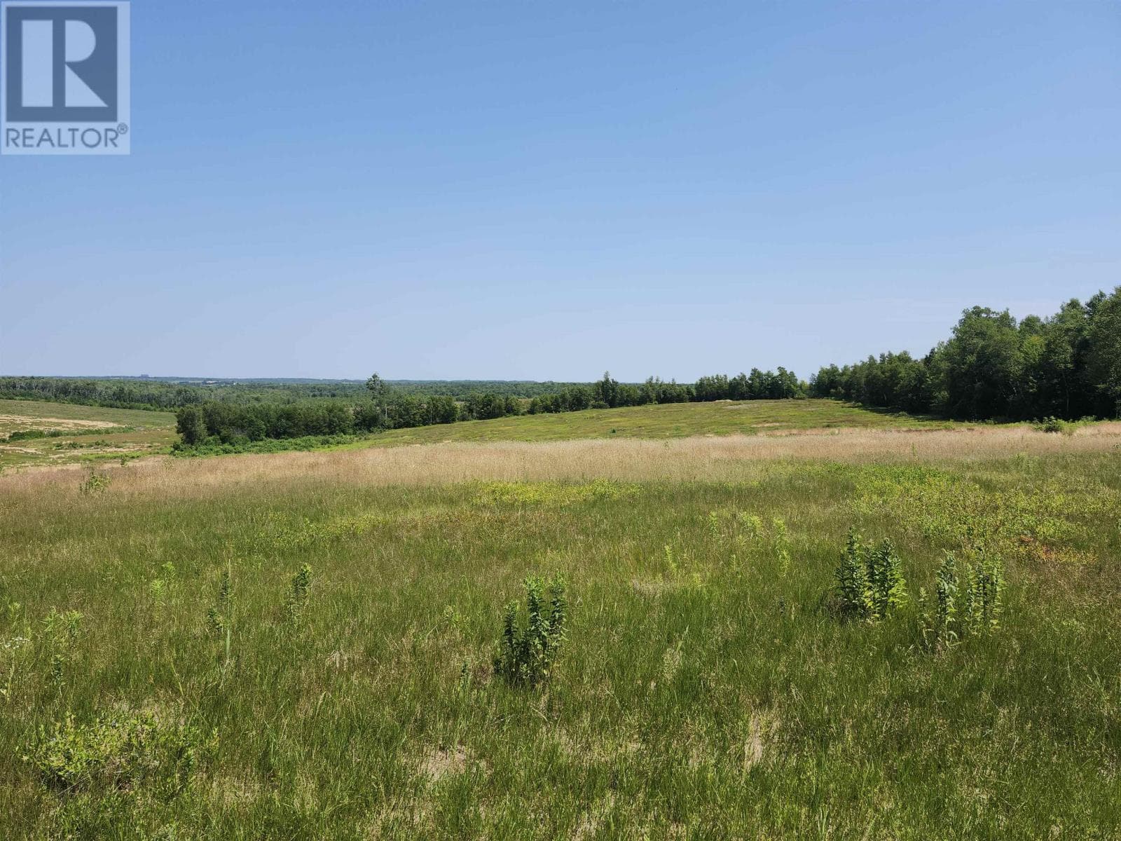 Acreage Selkirk Road — photo 3