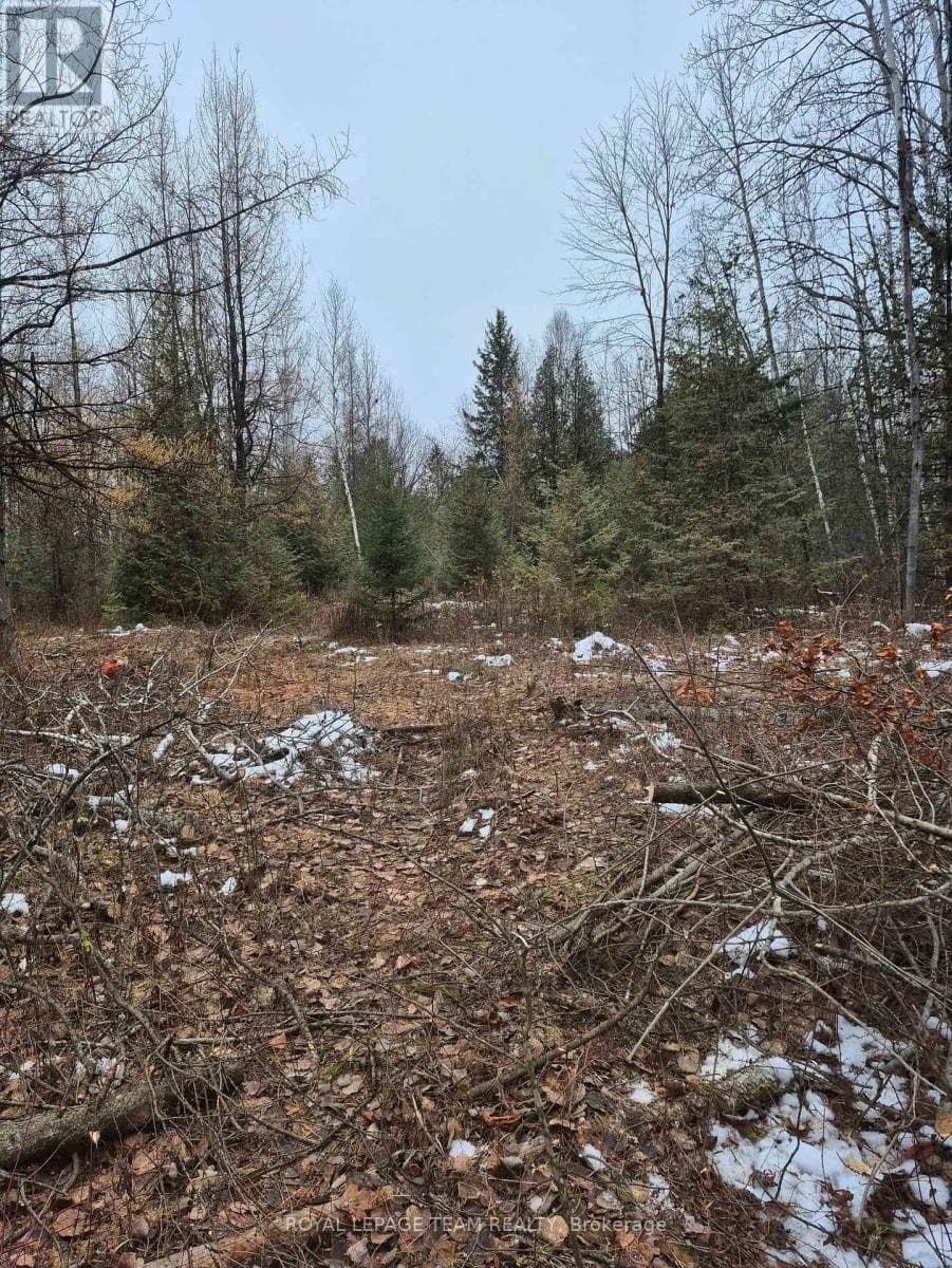 2819 COWELL ROAD, Ottawa — photo 2