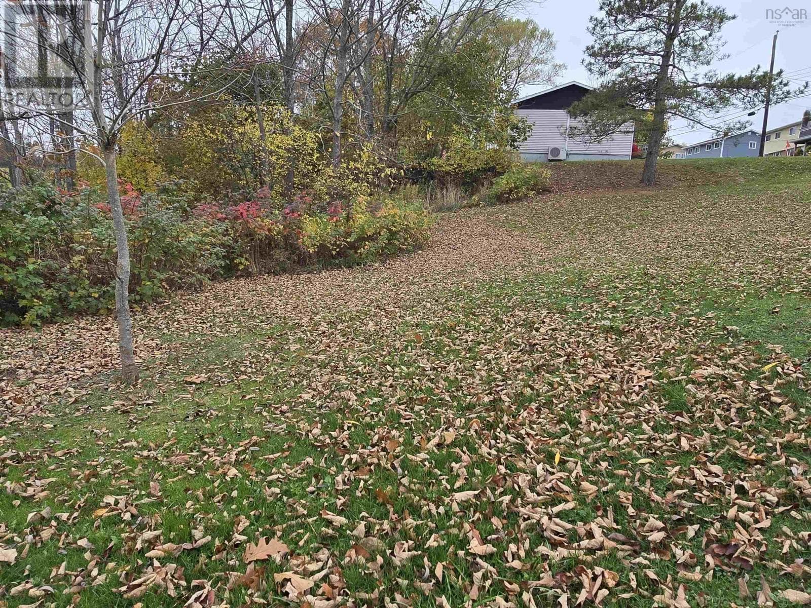 25-1 Weir Ave — photo 3