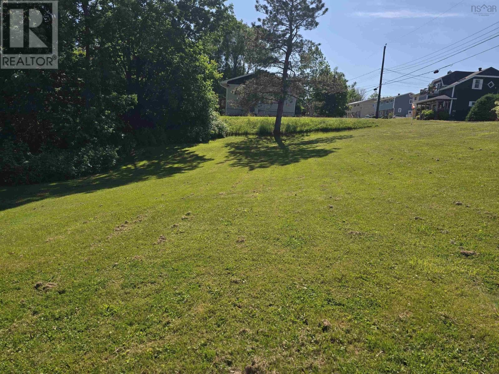 25-1 Weir Ave — photo 5