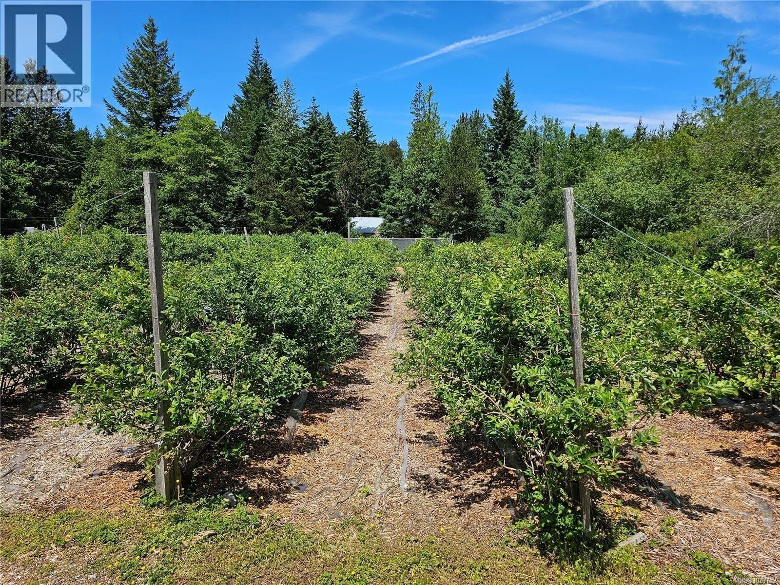 2156 COLEMAN ROAD in 