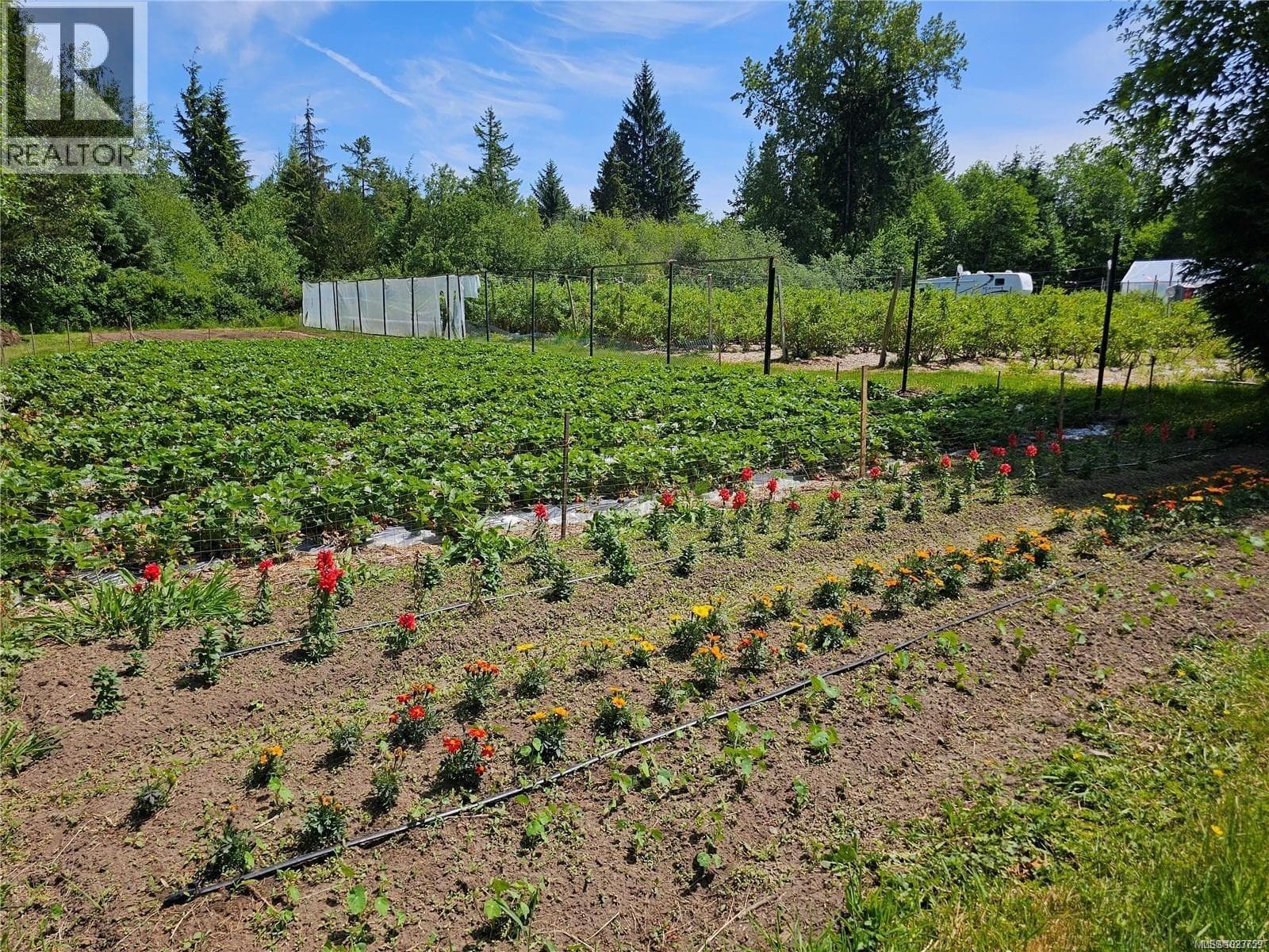 2156 COLEMAN ROAD, Vancouver Island — photo 2