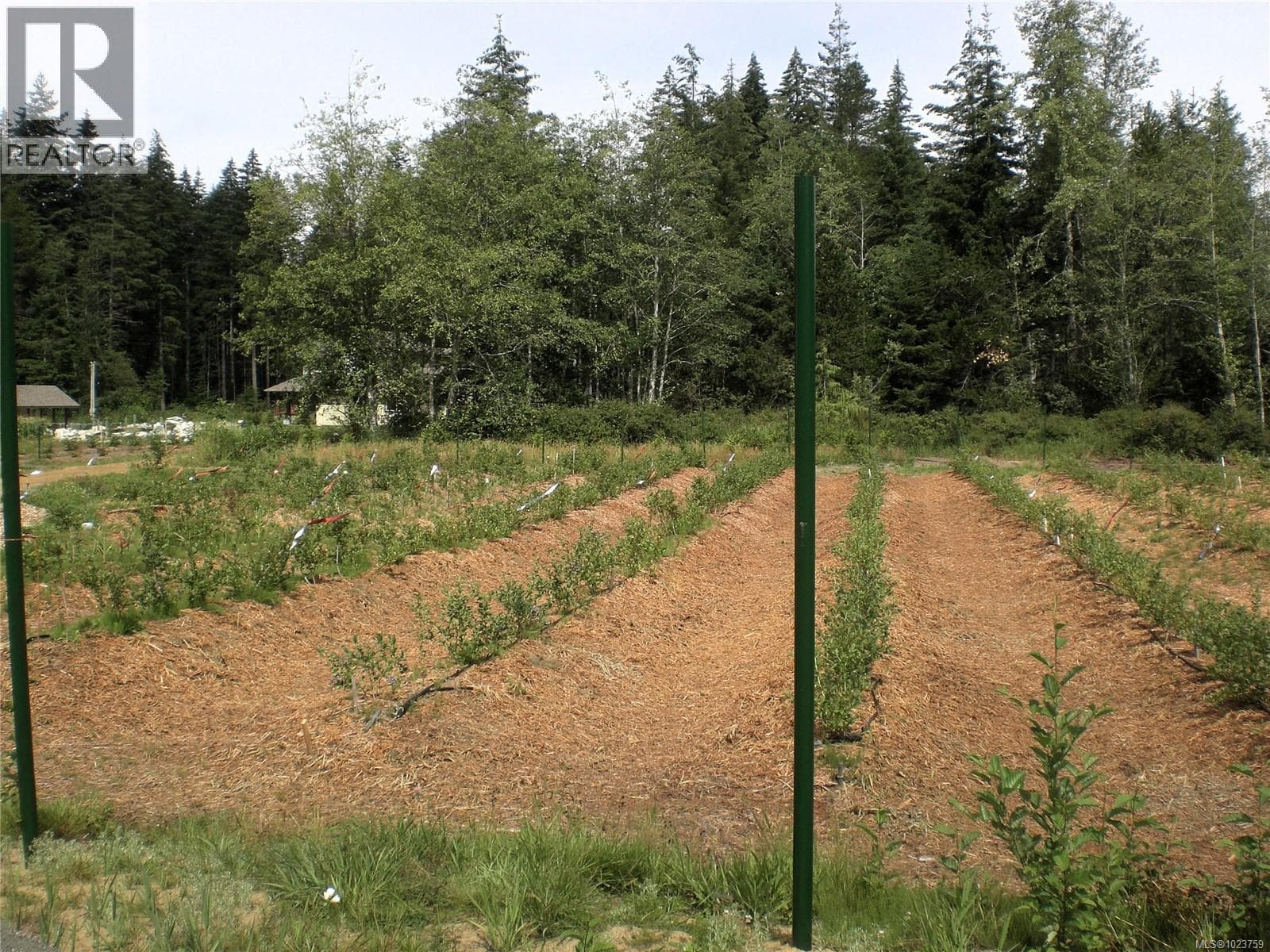 2156 COLEMAN ROAD, Vancouver Island — photo 3