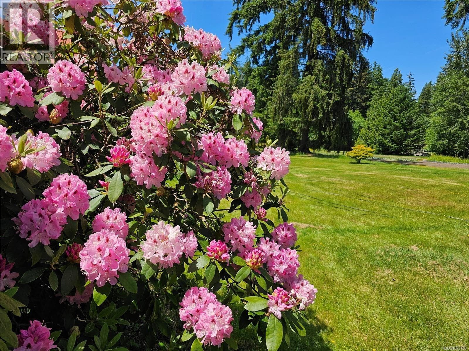 2156 COLEMAN ROAD, Vancouver Island — photo 5