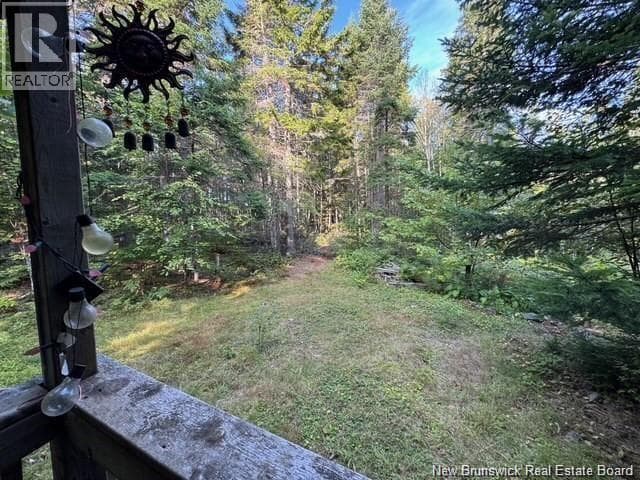 MILKISH CREEK ROAD — photo 3