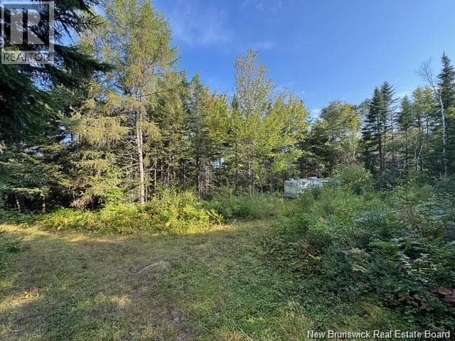 MILKISH CREEK ROAD — photo 5