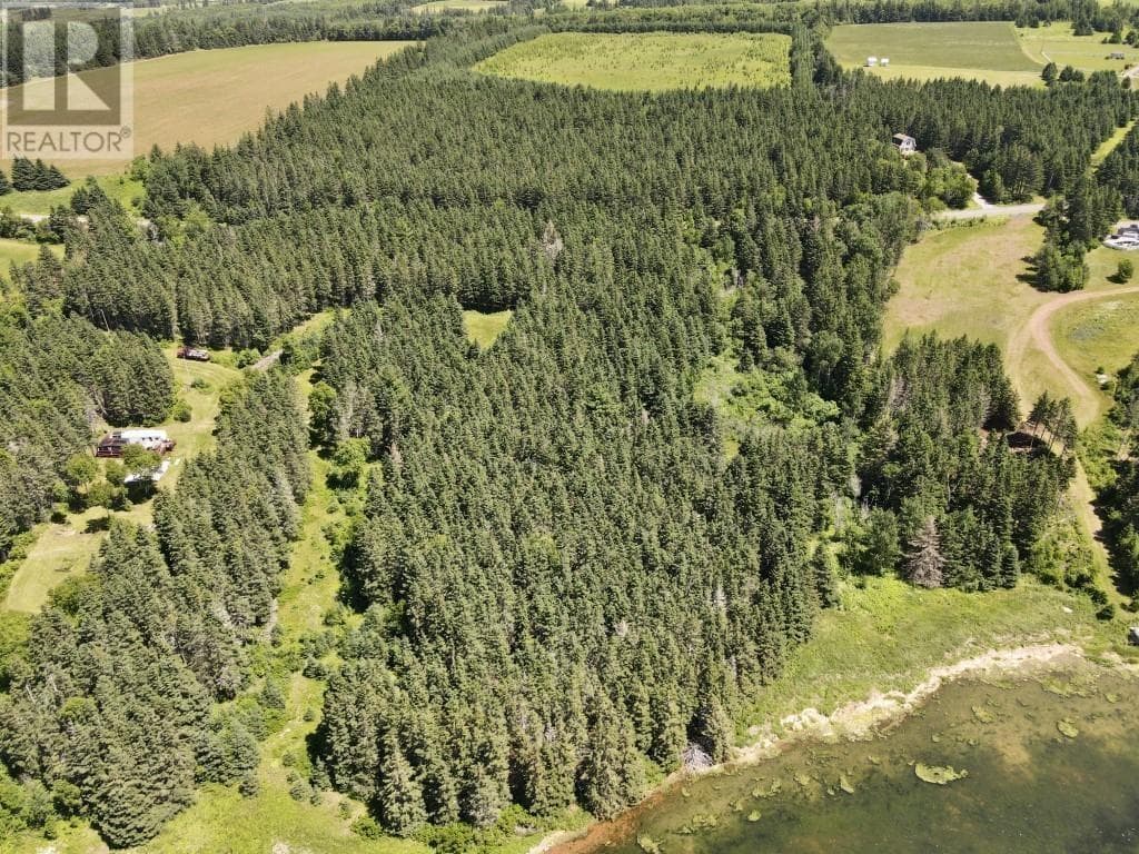 Trout River Road, PEIA — photo 4