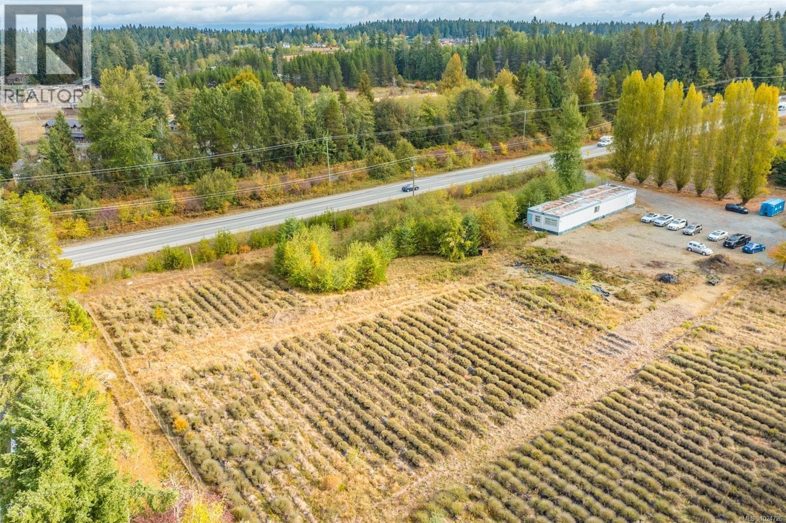 2116 Alberni Hwy, Vancouver Island — photo 4