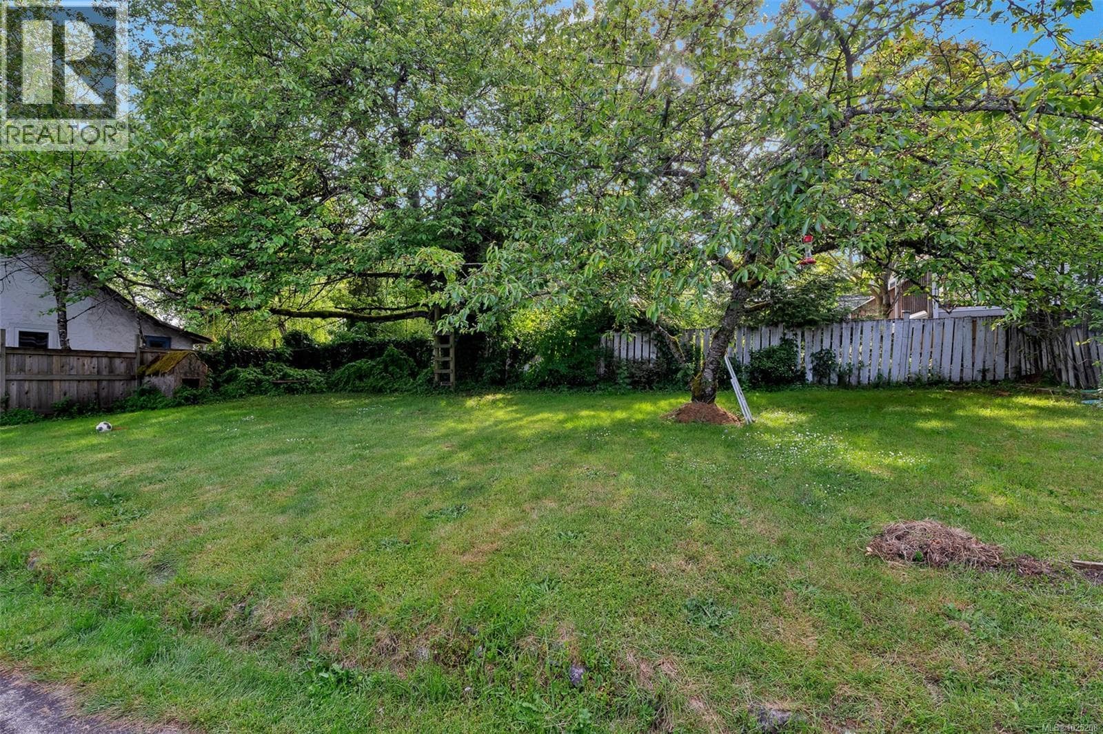 311 HOLLY AVENUE, Vancouver Island — photo 3