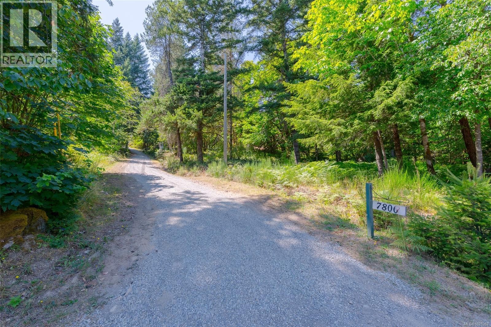 7800 PACIFIC RIM HIGHWAY, Vancouver Island — photo 5