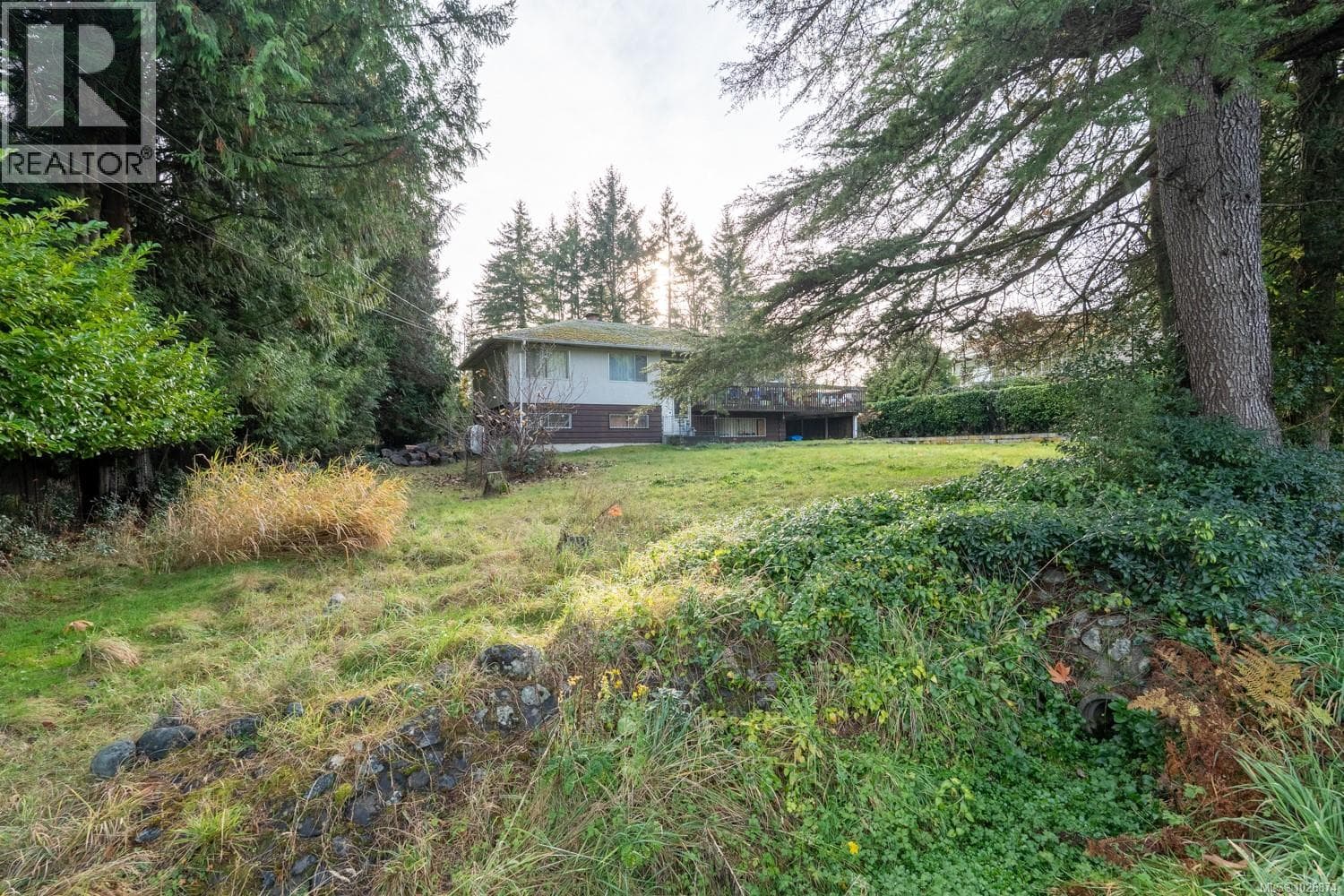 3383 OPAL ROAD, Vancouver Island — photo 3