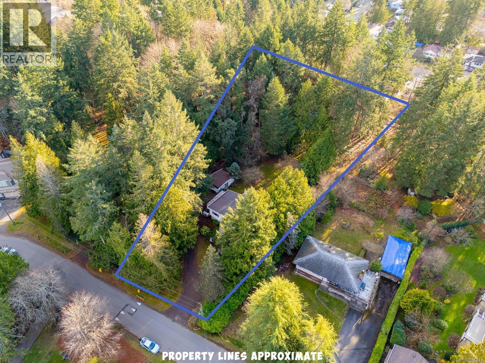 3379 OPAL ROAD, Vancouver Island — photo 3