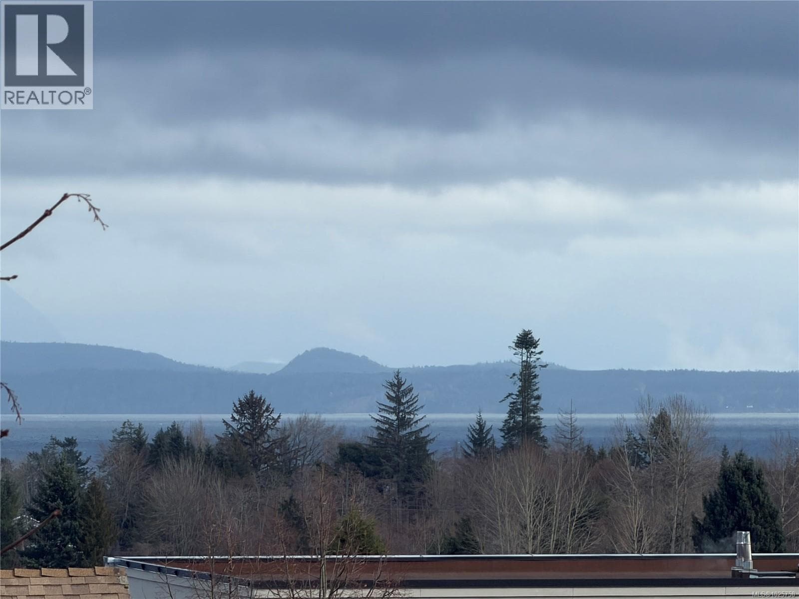 2767 Alder St S, Vancouver Island — photo 3