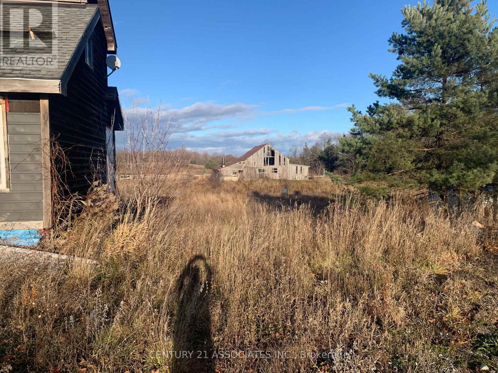 5211 WELLINGTON RD 24 ROAD, Toronto — photo 2
