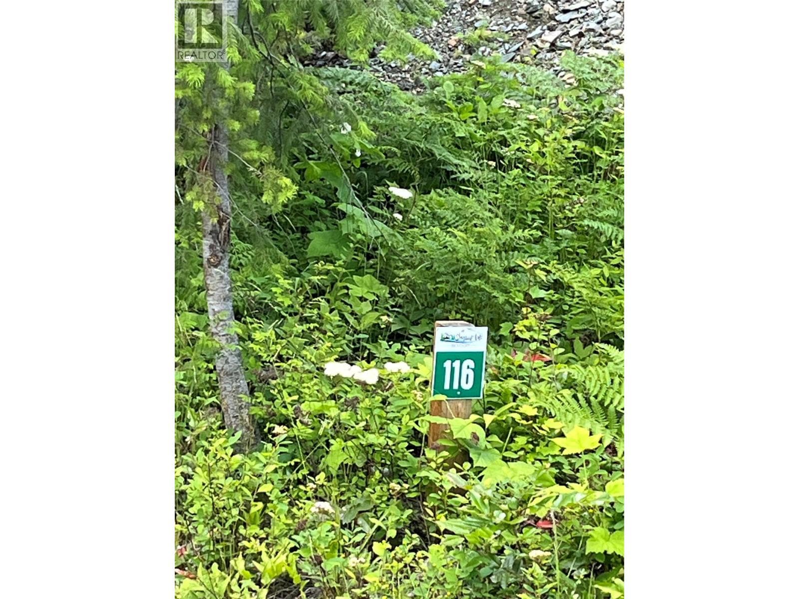 5363 Squilax-Anglemont Road Lot# 116, Interior REALTORS® — photo 5