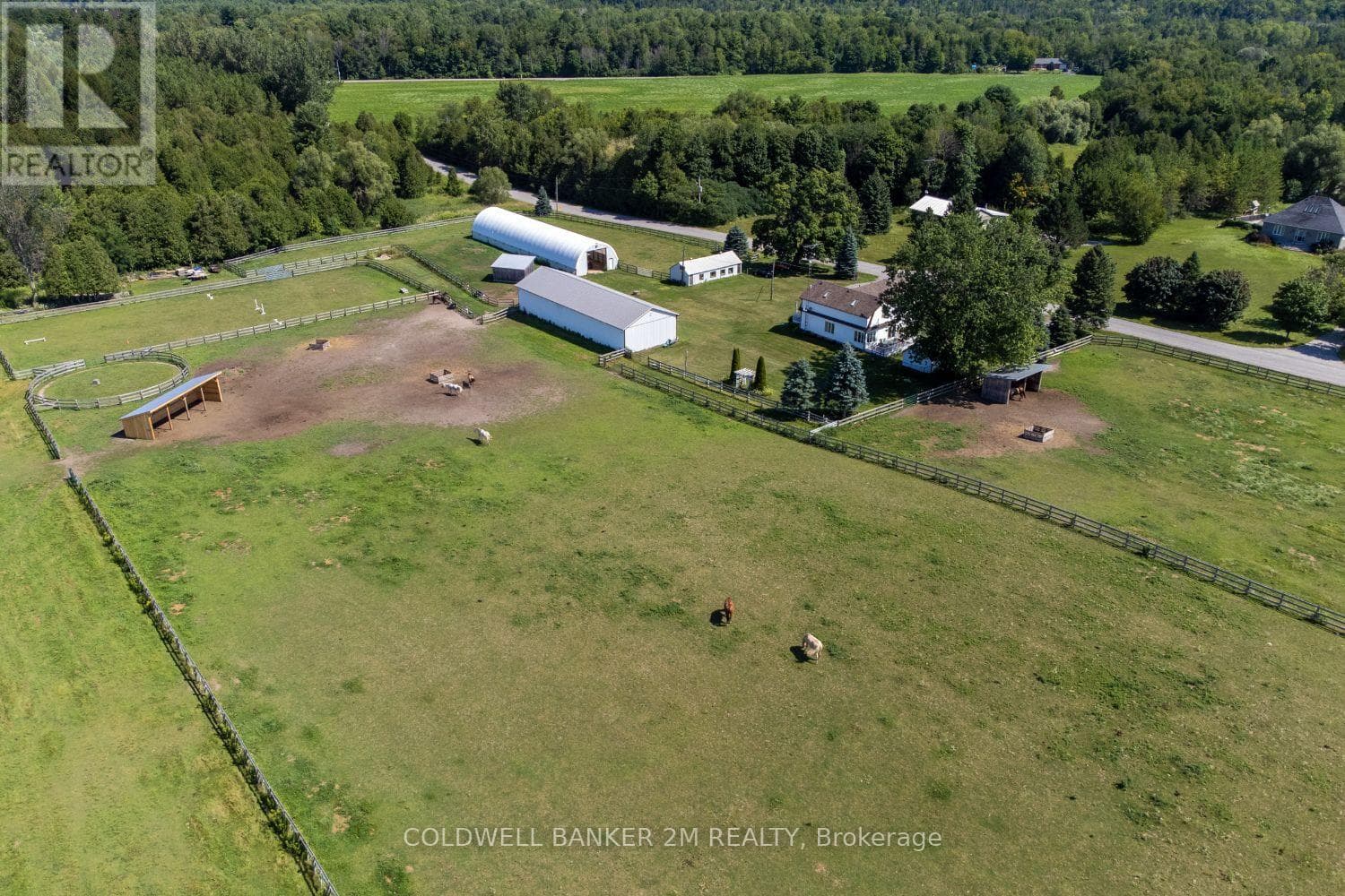 5728 GILMORE ROAD, Central Lakes — photo 4