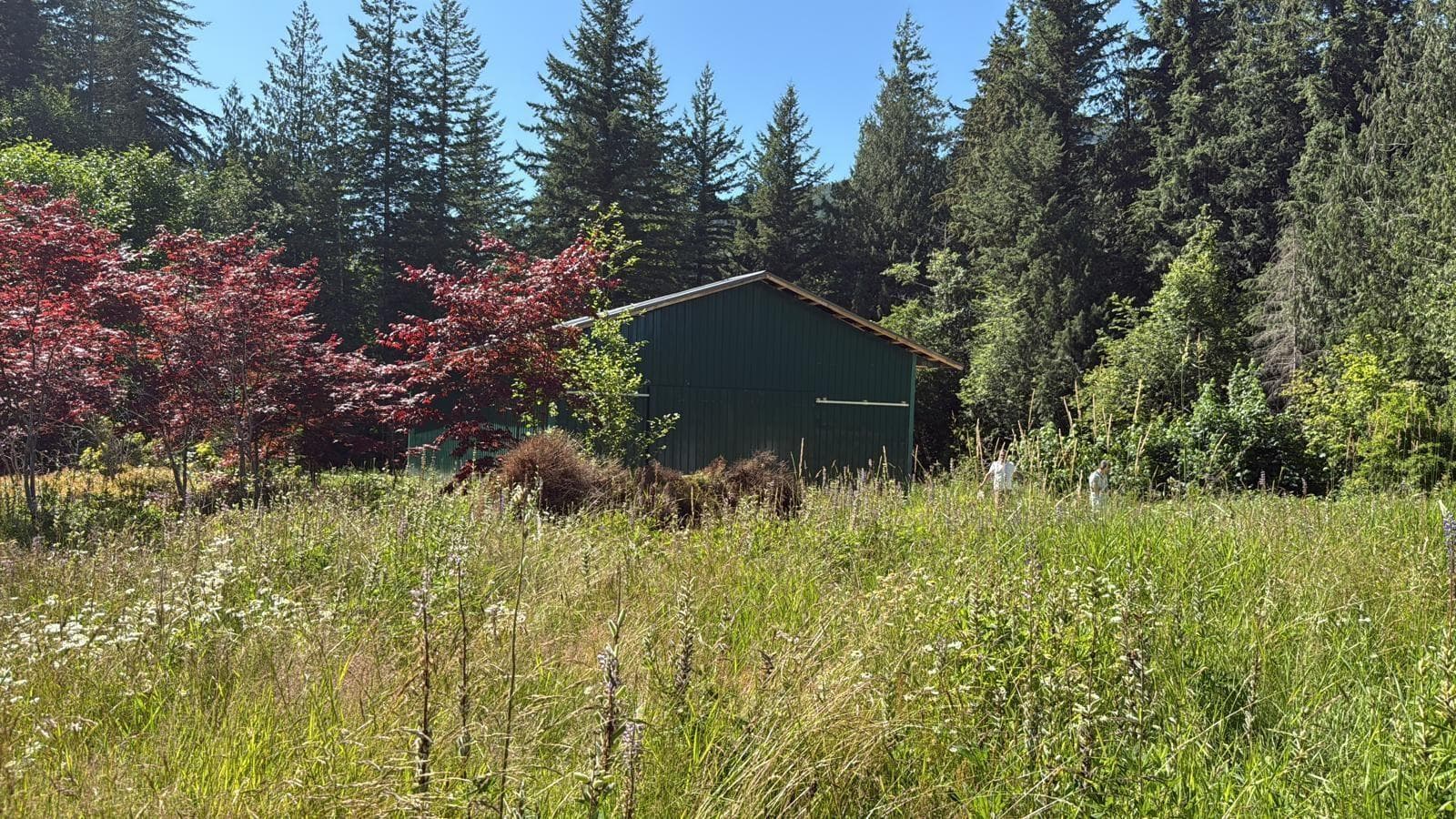 1153 KOSIKAR ROAD COLUMBIA VALLEY in 