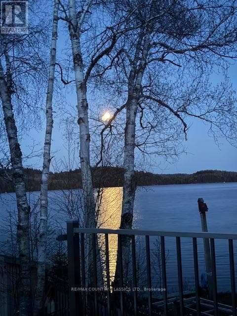 1787 NORTH BAPTISTE LAKE ROAD, Renfrew County — photo 5