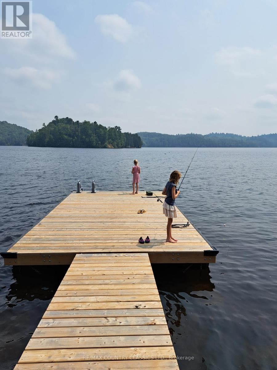 1787 NORTH BAPTISTE LAKE ROAD, Renfrew County — photo 4